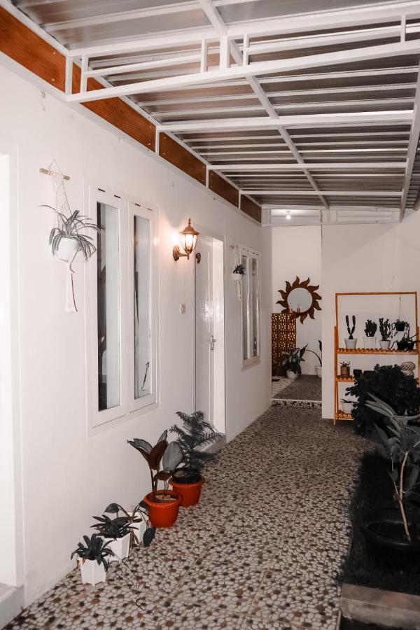 Tropical Paradiso Homestay Banyuwangi  Luaran gambar